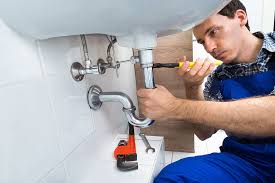 Best Garbage Disposal Repair and Installation  in Sturtevant, WI